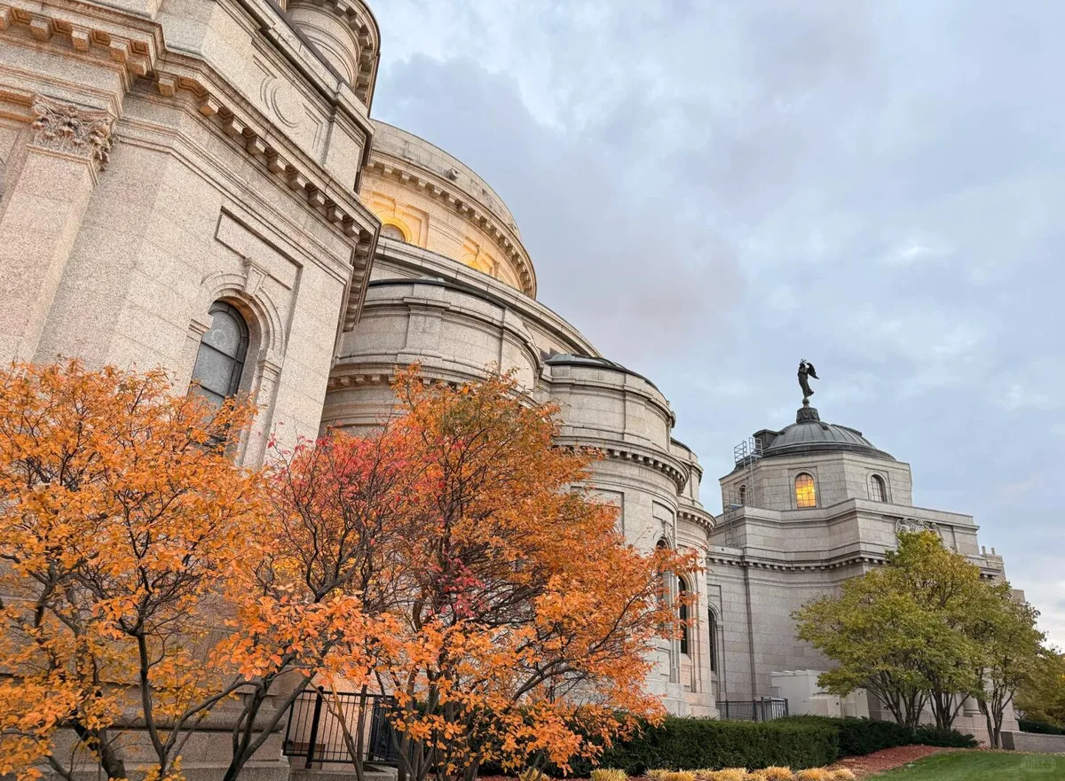 Cathedral of Saint Paul framed by autumn trees
