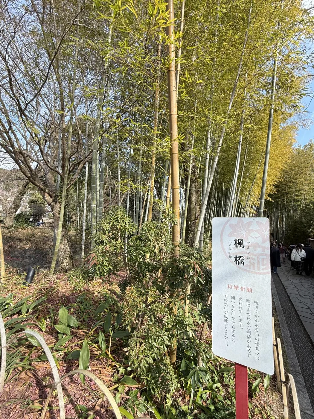 Bamboo path in Shuzenji